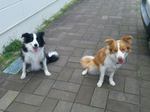 image/2013-04-06T22:57:43-1.jpg