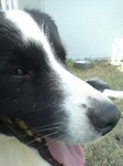 20081204191101.jpg