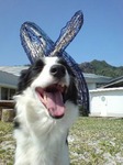 20090211193641.jpg