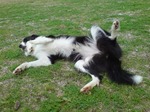 20090211193654.jpg